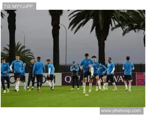 马德里竞技与巴西国际的精彩对决分析与赛前预测 马德里竞技与巴西国际的精彩对决分析与赛前预测