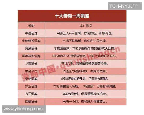 南京乒乓球队防守策略解析与技术特点探讨